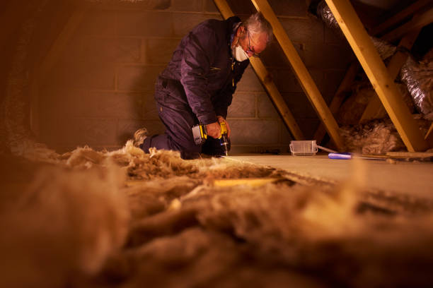 Types of Insulation We Offer in Bushland, TX